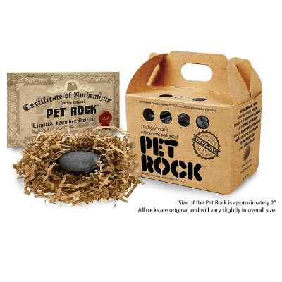 Pet Rock Box