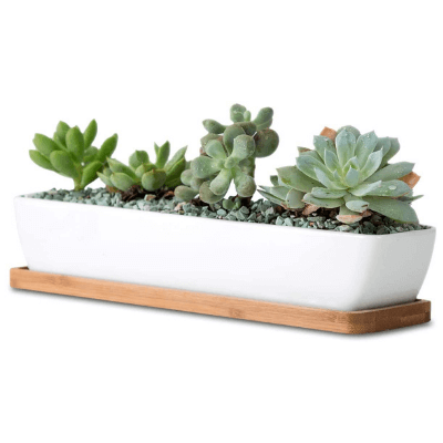 Ceramic Succulent Planter