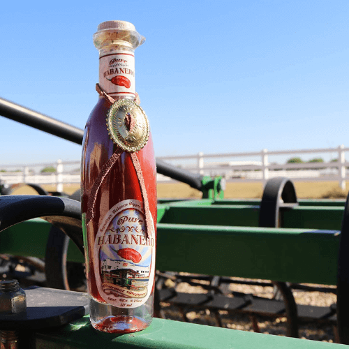 Spicy Pure Habanero Hot Sauce
