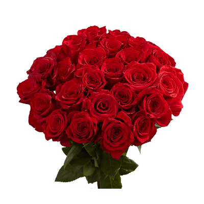 A Bouquet Of Flowers