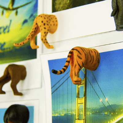 Safari Animal Butt Magnets